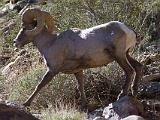 A Anza Borrego Desert 017